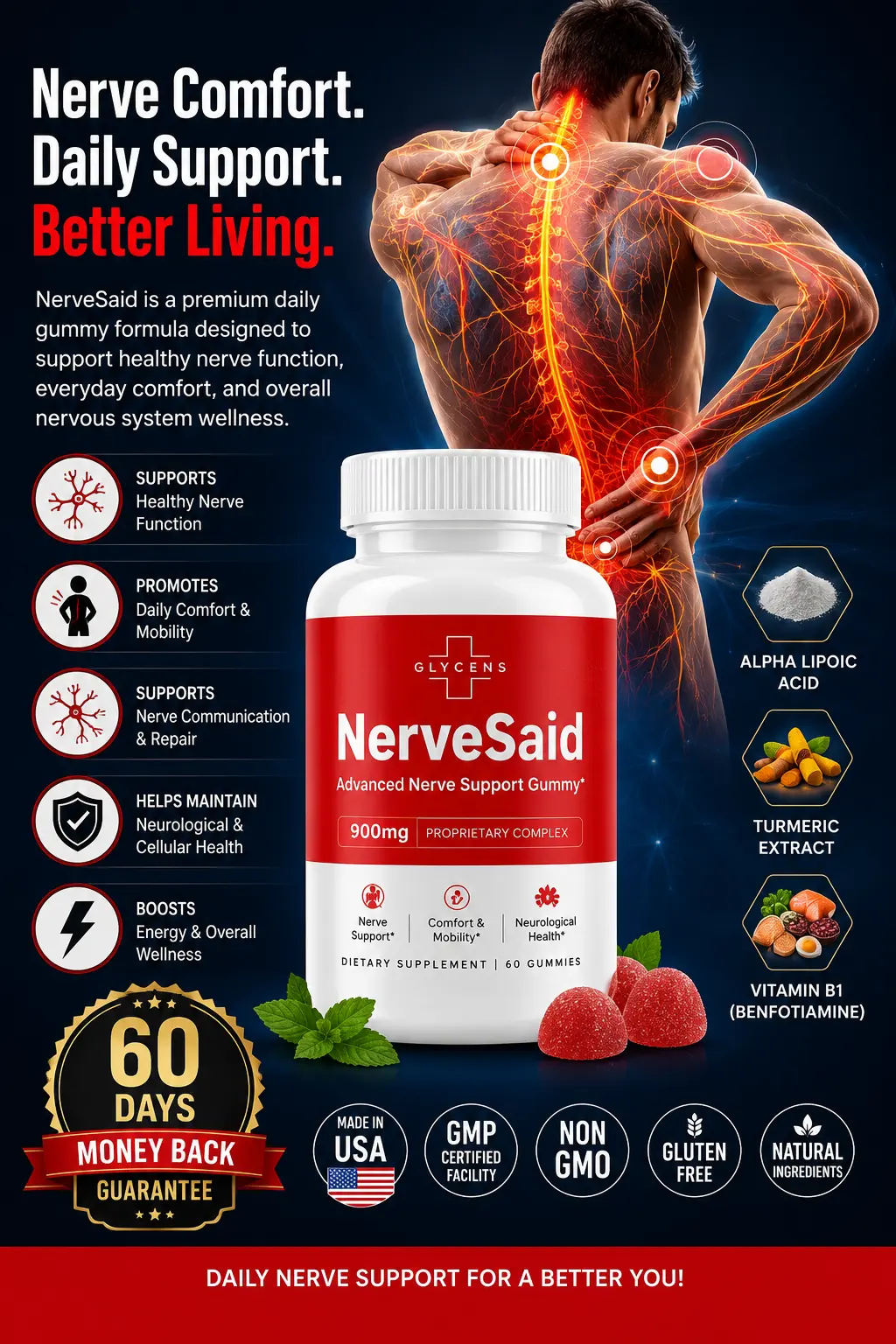 NervesAid Premium Nerve Function Support Supplement